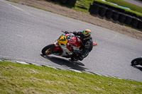 enduro-digital-images;event-digital-images;eventdigitalimages;lydden-hill;lydden-no-limits-trackday;lydden-photographs;lydden-trackday-photographs;no-limits-trackdays;peter-wileman-photography;racing-digital-images;trackday-digital-images;trackday-photos